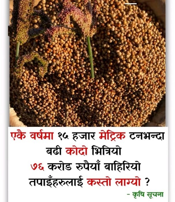 BhismaK62's tweet image. कति सम्म तारिफ गरौँ यो सरकारको, यो व्यवस्थाले ल्याएको परिवर्तनको....!!
यति खेर कोदो पनि आयात गरेको खान्छन गोर्खे...
भगवान खड्ग प्रसाद र देवी आरजु को जय होस्!!
प्रचण्ड, देउवा, बाबुराम हरूको जय होस्!!
किसानलाई मजदुर मा रूपान्तरित गर्ने सबैको जय होस् !!