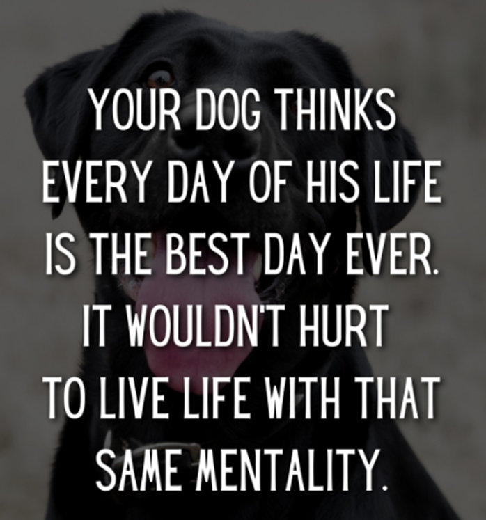 TheGOATFarmLLC's tweet image. Live your best life each and every day. 

#inspirational #InspirationalQuotes #motivational #Motivation #motivationdaily
