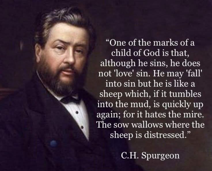 ThChristianWalk's tweet image. 