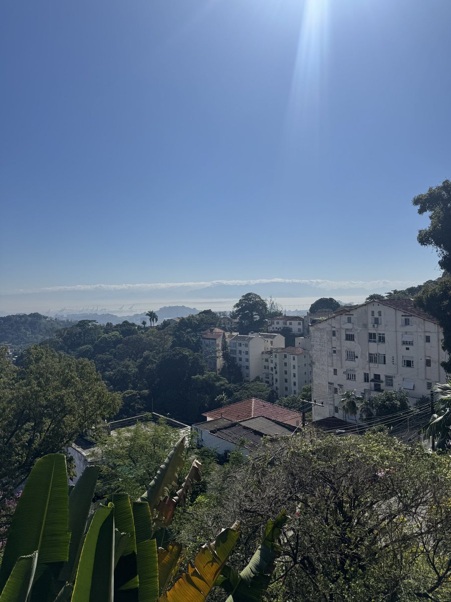 POSTWOOK's tweet image. Last gm from Rio 🥲