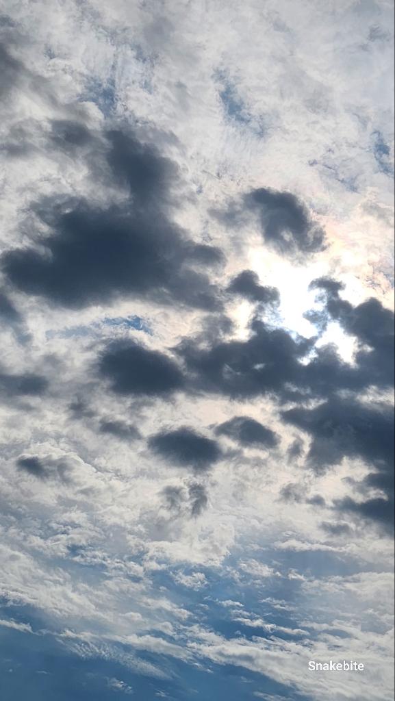 See Blue Mountain ? 
Me either. 7/26 09:00 
Geo-storm pending. 
<a href="/dougmastriano/">Doug Mastriano</a> <a href="/OGSpringtucky/">Springtucky</a> <a href="/LegendreKristy/">Kristy Legendre</a> <a href="/Tboo211/">Babooschka</a> <a href="/Humblesauce304/">Humblesauce3</a> <a href="/JayneJ07/">Jayne Jones</a> <a href="/BenKnight1980/">Ben Skywatcher 🏴󠁧󠁢󠁥󠁮󠁧󠁿</a> <a href="/RISeaAndSky/">RISeaAndSkyWatch</a> <a href="/IonisedSkyWatch/">Alex Meechan</a> <a href="/noobdad75/">noobdad75</a> <a href="/WeaponizedWorl1/">Weaponized World</a> 
<a href="/b_gimpl1234/">BGimpl</a> 
<a href="/edon5/">STOCKMAN</a> 
<a href="/leeinthelorry/">Funsize</a> 
<a href="/Gp1ggy1/">Guy P</a> 
<a href="/Raggedyedge1/">Raggedyedge</a>