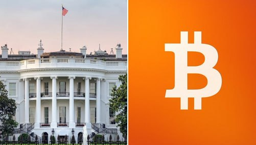 CryptoNews7/24 tweet media