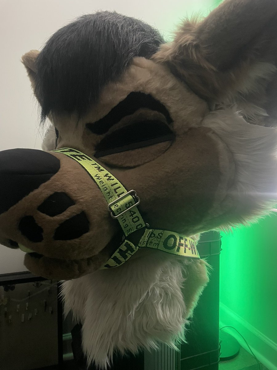 neonXguts's tweet image. a mimir