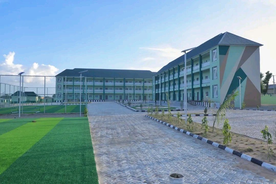 MusaGwary's tweet image. Public schools in Borno state.
Kudus to @ProfZulum and @officialSKSM 👏
