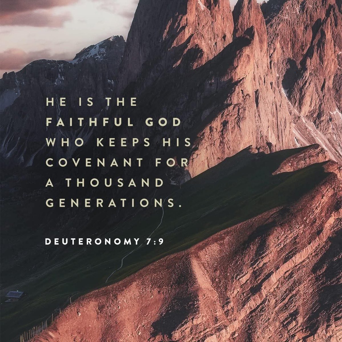 ThChristianWalk's tweet image. 
