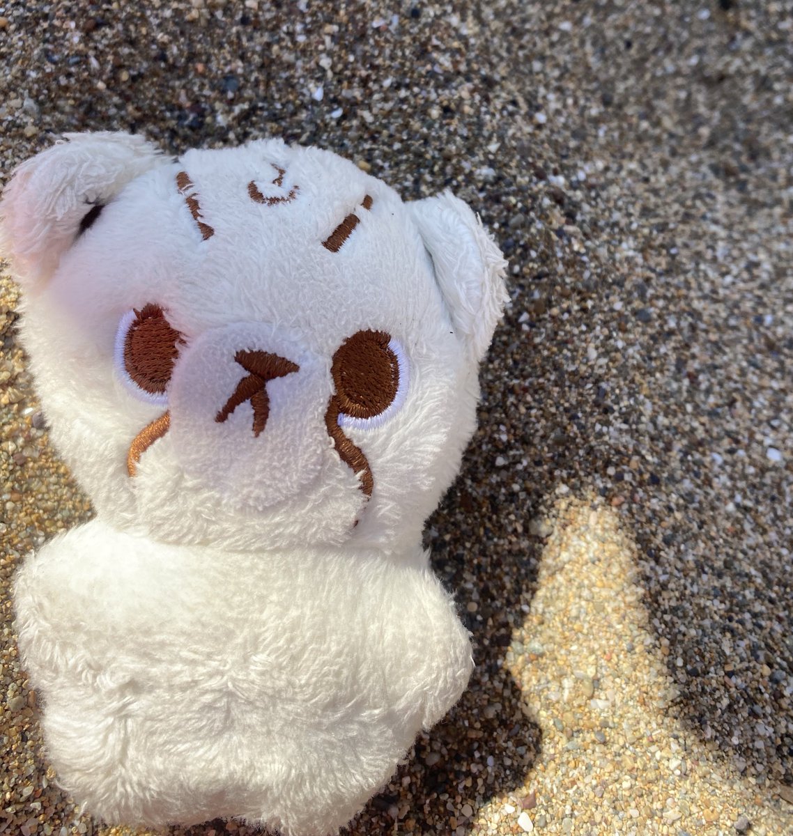 mfalmarks's tweet image. last day at the beach, still angy