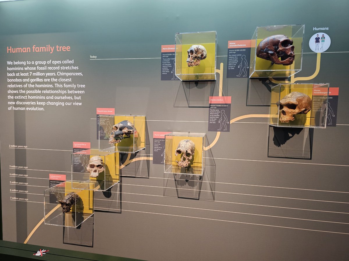 DrShoaibAM's tweet image. I enjoyed visiting the National Museums Scotland (@NtlMuseumsScot) with my son today. I particularly enjoyed the new exhibition on primates.