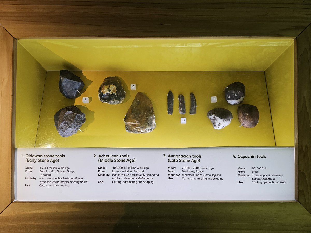 DrShoaibAM's tweet image. I enjoyed visiting the National Museums Scotland (@NtlMuseumsScot) with my son today. I particularly enjoyed the new exhibition on primates.