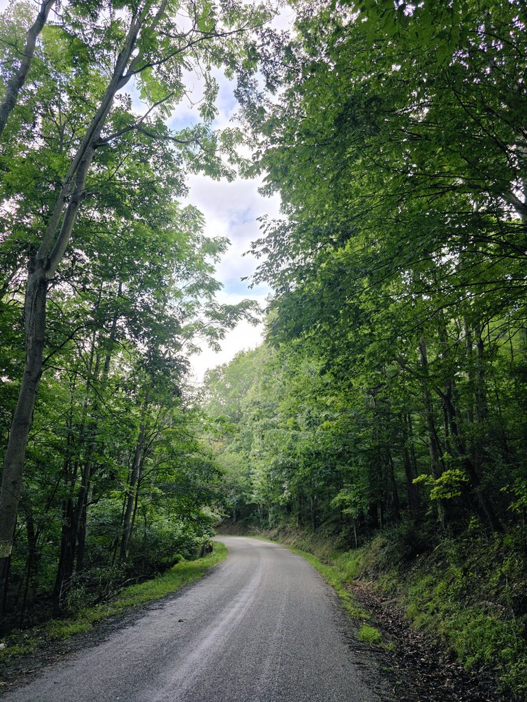 data_mausoleum's tweet image. I&apos;ll just take a walk