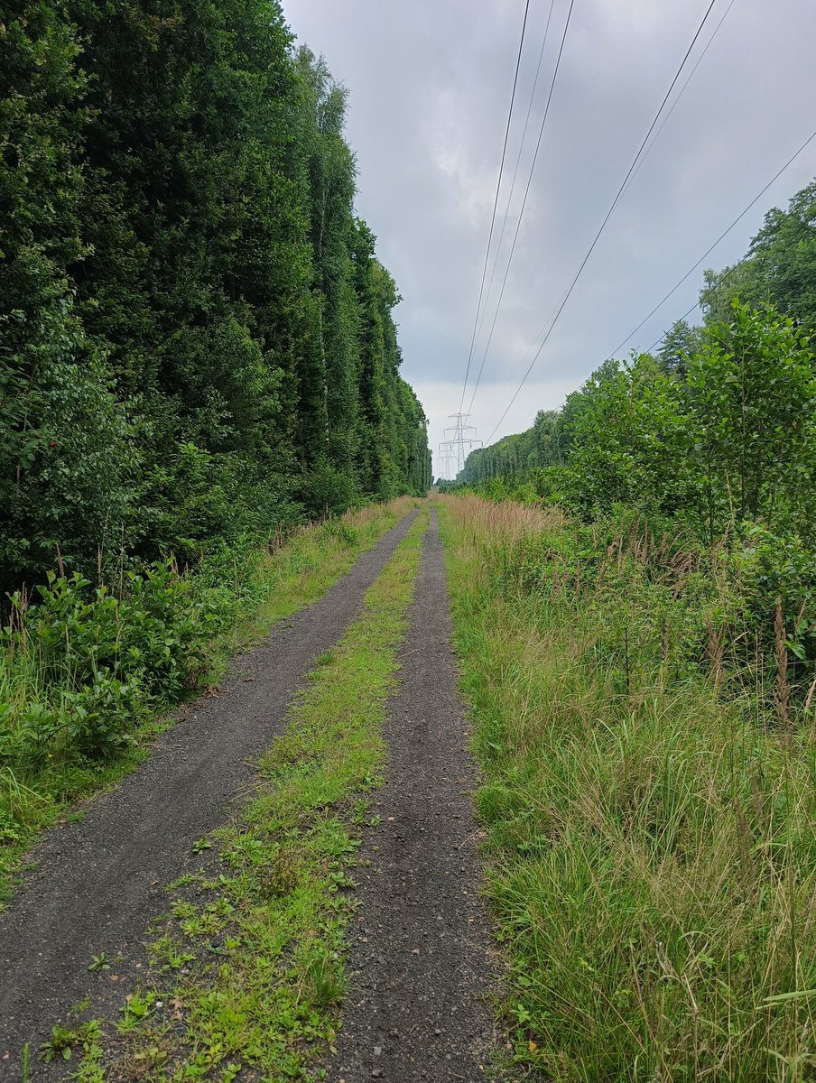 GGanszczyk's tweet image. Pochmurno, ale nowy rumak nie pozwala leżeć w domu. W drogę! 😎🍀🚴🎶 #bike #WeekendVibes #July #Summer