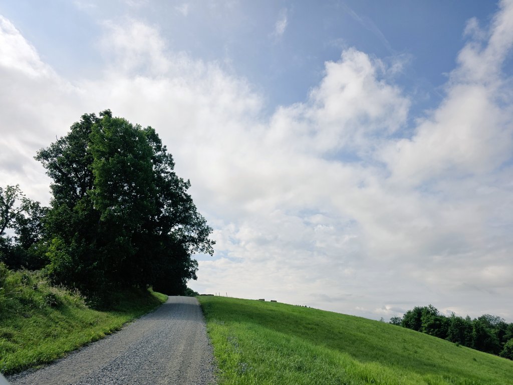 data_mausoleum's tweet image. I&apos;ll just take a walk