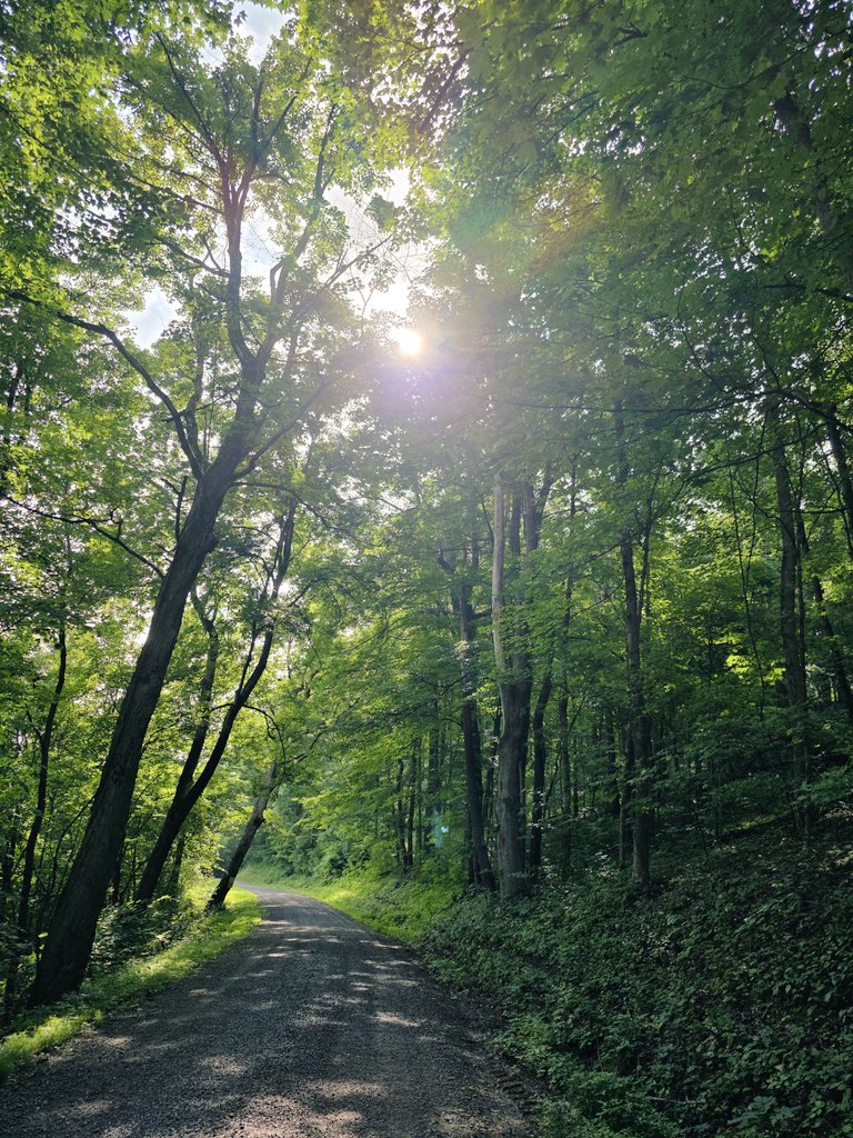 data_mausoleum's tweet image. I&apos;ll just take a walk