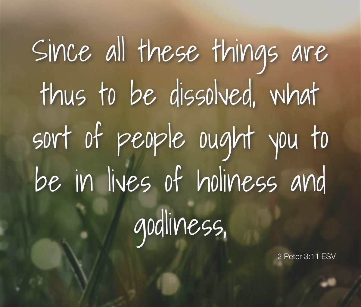 BC_265's tweet image. Good morning ☀️ 
We spend so much time focused on money, jobs, relationships, places and things that will ALL dissolve. 
Be Holy and Godly. Looking forward to His glorious return! 🙌🙏🤍
