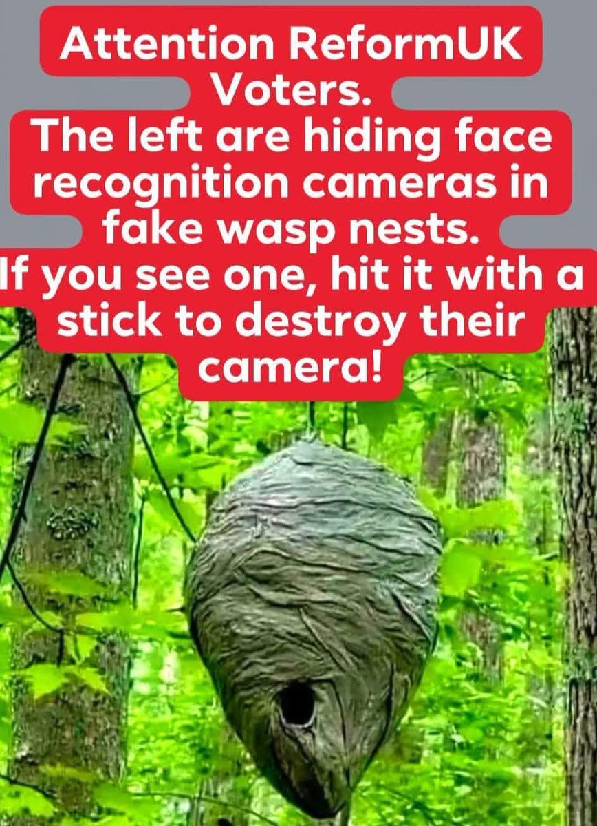 TheMeldrew's tweet image. Please tell your Reform voting colleagues, don't want them getting caught by those nasty lefties