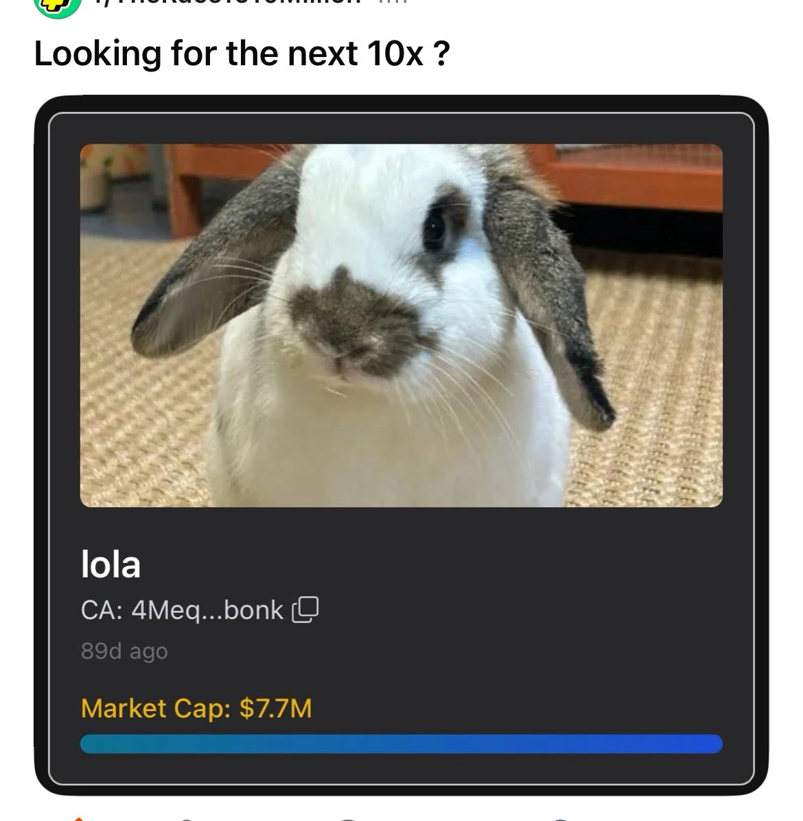 RX7Sol's tweet image. Lola on Reddit too, we early