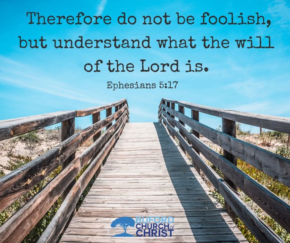 ThChristianWalk's tweet image. 
