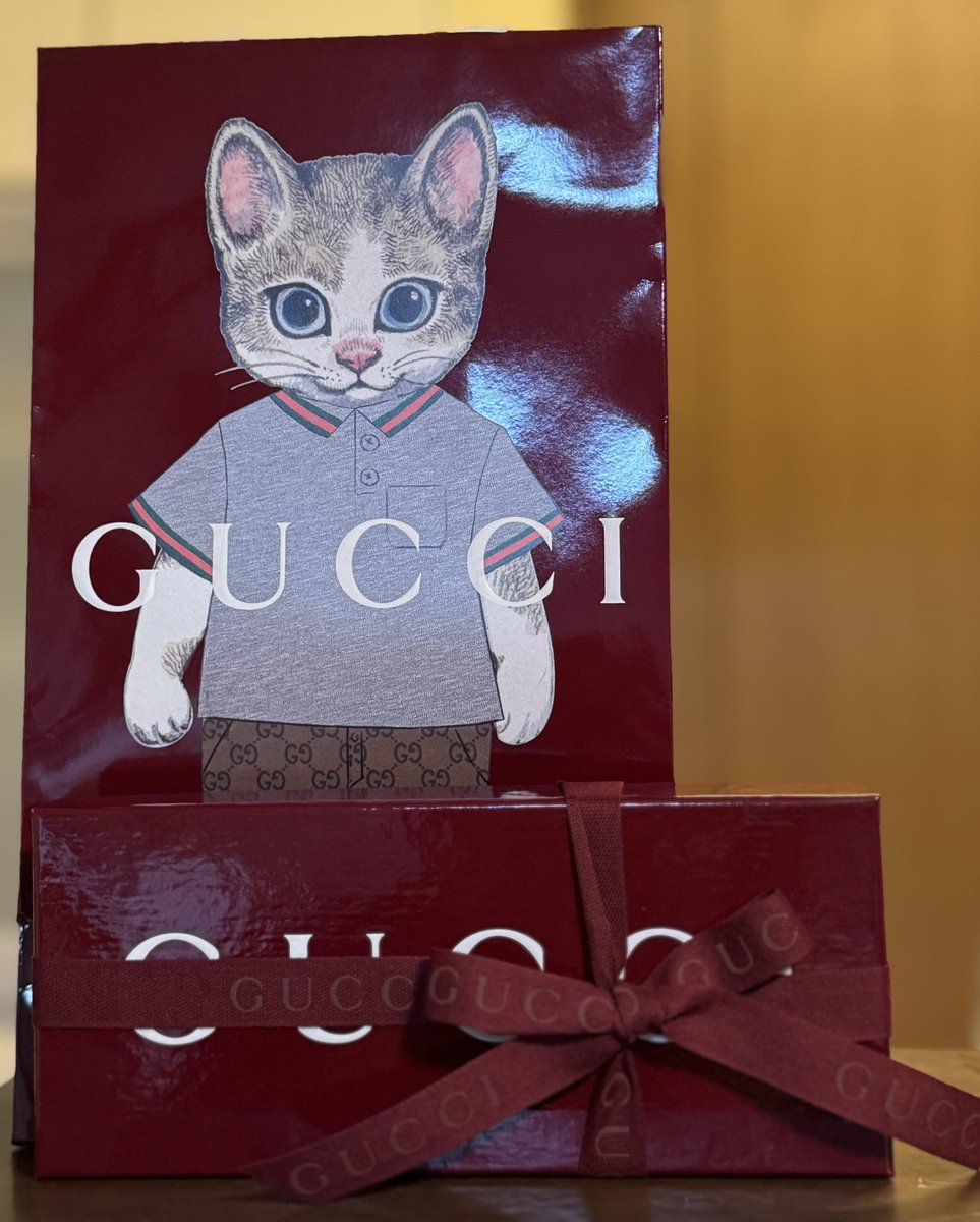 Gucci - Search / X