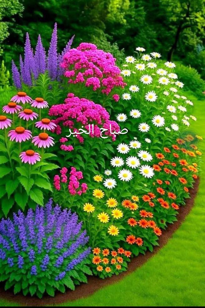 د.حافظ المدلج (@hafez_almedlej) on Twitter photo رغم بعد المسافة لازال يسعدني كل يوم بصور الورد التي يلتقط بعضها من حديقة منزله
حتى صرت أسمع طلال يدندن في أذني:
"وردك يا زارع الورد"
انه الصديق الصدوق <a href="/abouchadi1944/">سعيد غبريس</a>
وهذه آخر أربع رسائل: رغم بعد المسافة لازال يسعدني كل يوم بصور الورد التي يلتقط بعضها من حديقة منزله
حتى صرت أسمع طلال يدندن في أذني:
"وردك يا زارع الورد"
انه الصديق الصدوق <a href="/abouchadi1944/">سعيد غبريس</a>
وهذه آخر أربع رسائل: