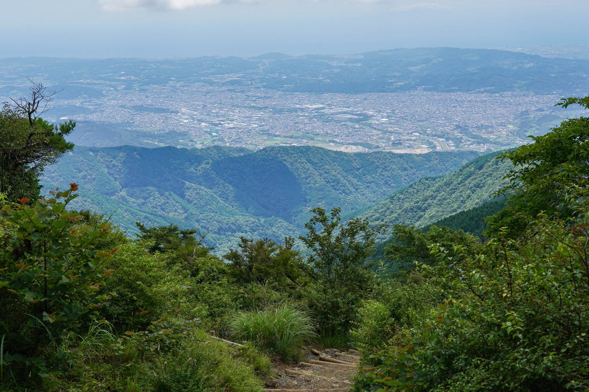 Ken_enjoy's tweet photo. 大倉から丹沢山へ。
トレランルートしてはとても良いが、登山としては面白みが少なかった…。百名山に選ばれた理由はこのルートではなく、丹沢全域を味合わないとわからない気がする。 https://t.co/B4PrkzPjnL