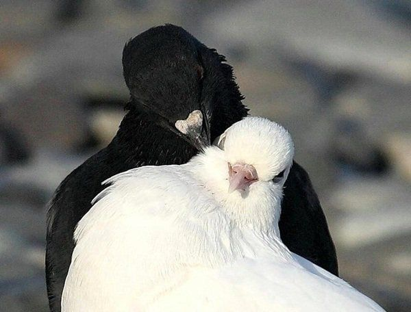 Tweet media three