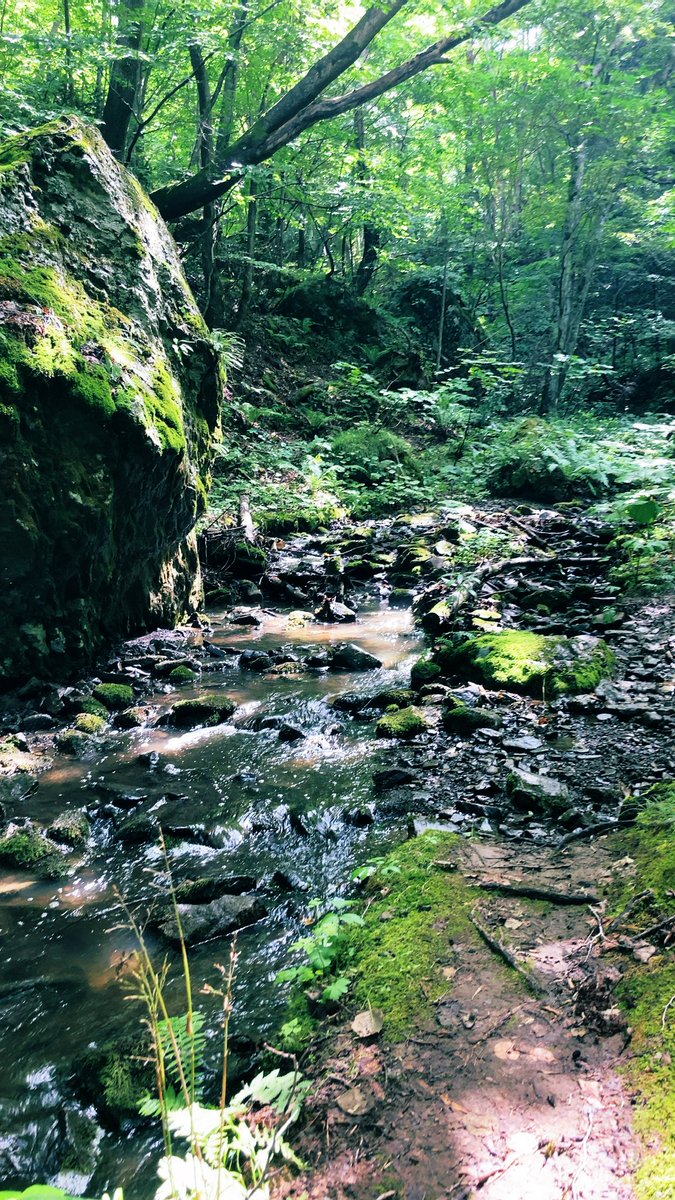 今週末は天気が微妙なので、遠出は諦めて、近場で軽く登って、温泉サウナ入ってを土日とも。
久々に汗だくになって脳をリセット。
やりたかった読書は疲れてあまり進まず😪