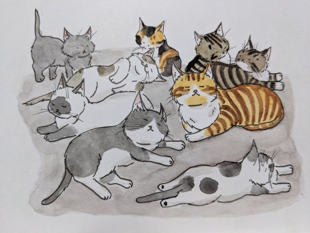 paseri021's tweet image. The evening.
Warm concrete. 😺💤
 #pasericat
