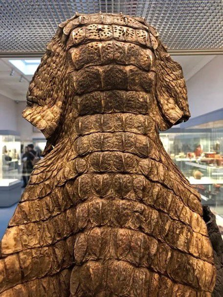 emonok1's tweet image. クロコダイルアーマー:3世紀の古代ローマで作られたワニの皮の鎧。古代エジプトではワニは神として崇拝されていたが、ローマがエジプトを支配した際、現地の文化や宗教に影響を受けたローマ兵によって着用されたとみられる。戦闘用ではなく、パレードやカルト的儀式で使用されたと考えられている。