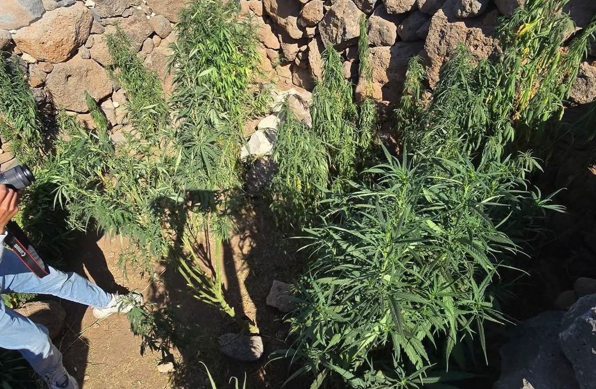 الاكتفاء الذاتي على جميع المستويات