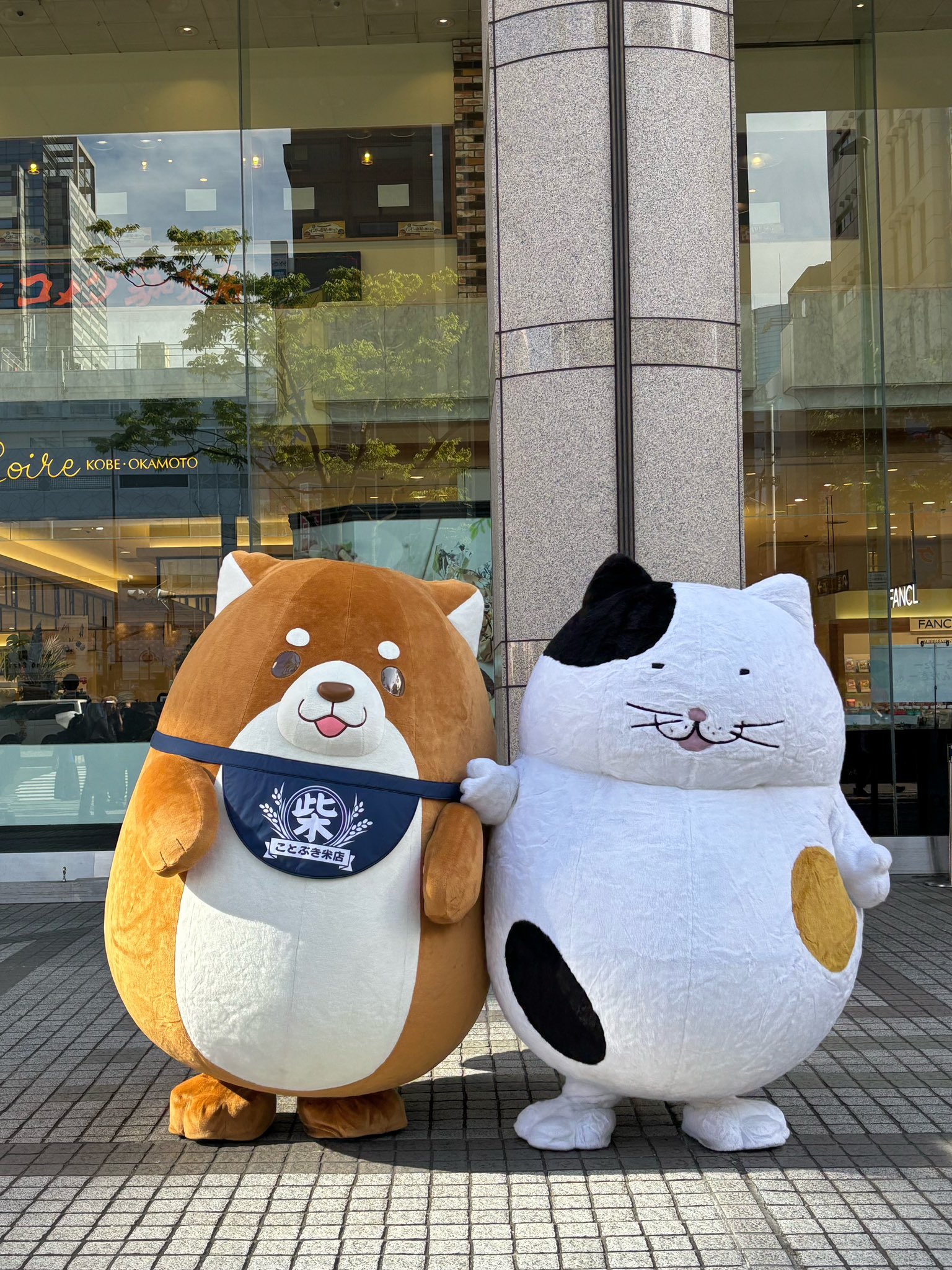 すずじまん on X: 
