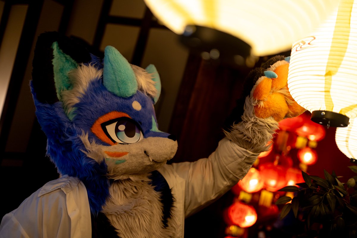 📸<a href="/biche_fur/">비케/호밀이</a> 

#FursuitEveryday