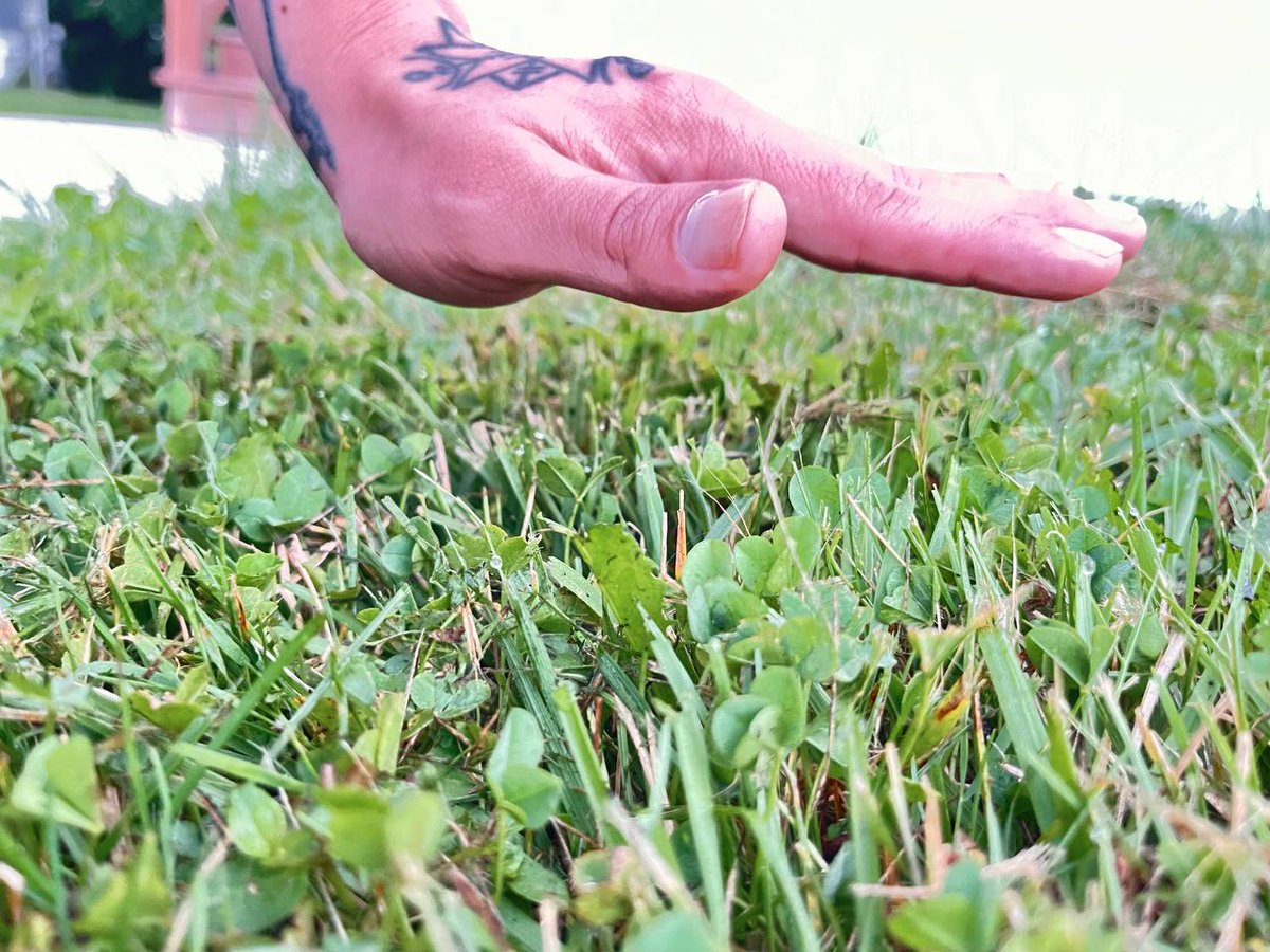 They tell you to "touch grass."

That's consumer advice.

Builders live here, online.

Where the market moves, where opportunities appear, where the competition is.

You don't win by disconnecting.

You win by being more obsessed, more focused, and faster than everyone else.