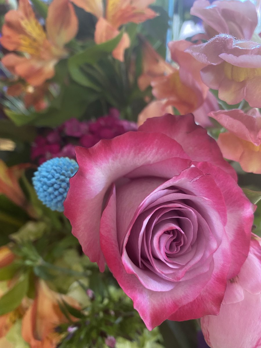 _S_a_l_l_y_A's tweet image. Morning…