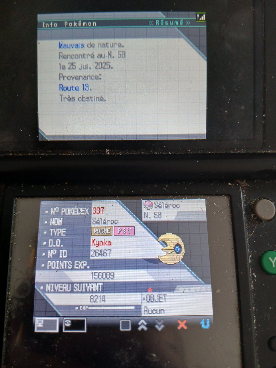Ellocolucas_'s tweet image. [241✨] Séléroc qui tombe en 6754 rencontres, c&apos;est pas particulièrement lui que je voulais, mais bon au moins il me sert pour la ligue d&apos;orion et ça ça fait plaisir !