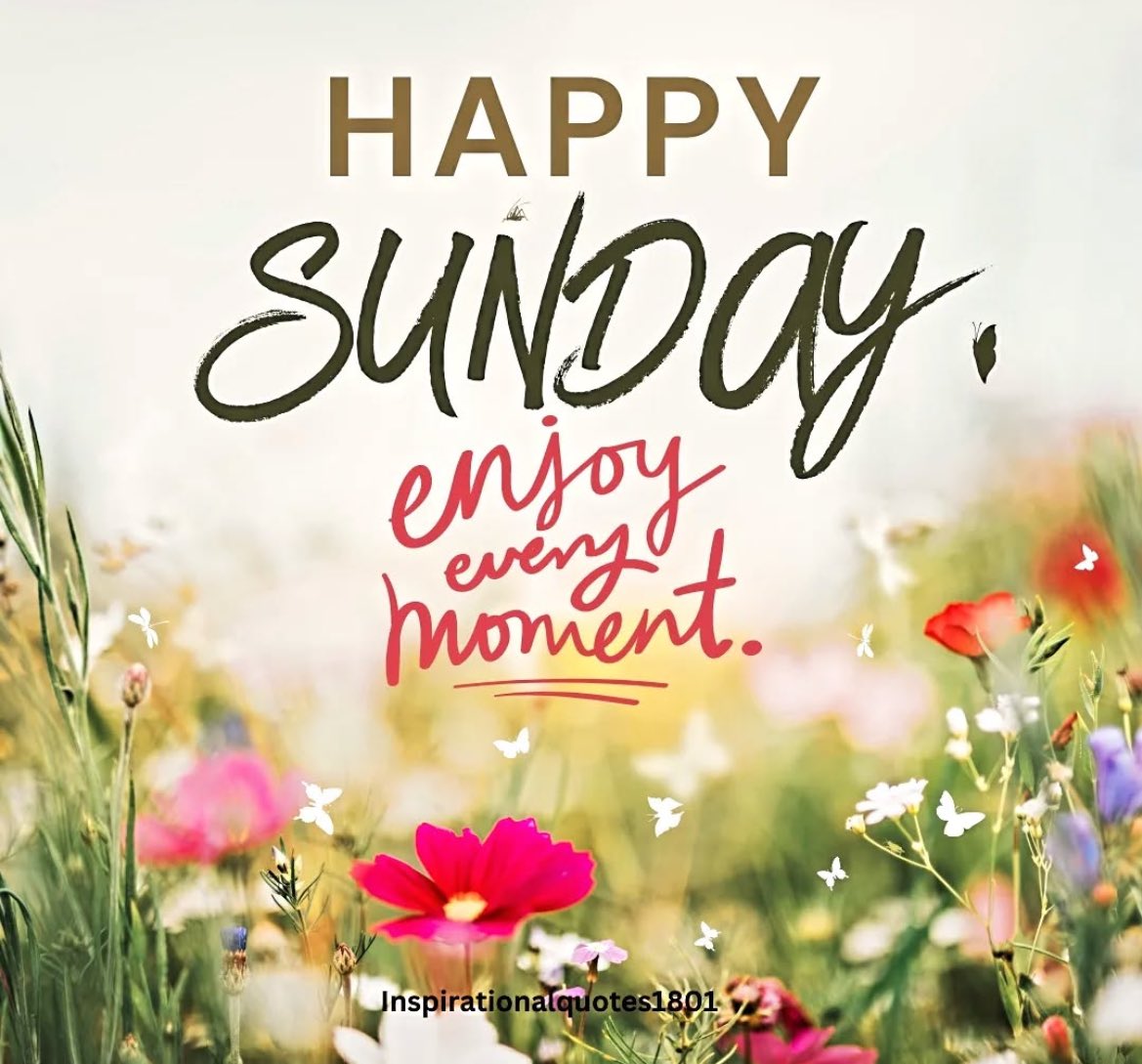 megs_mohrhard's tweet image. Happy Sunday!
