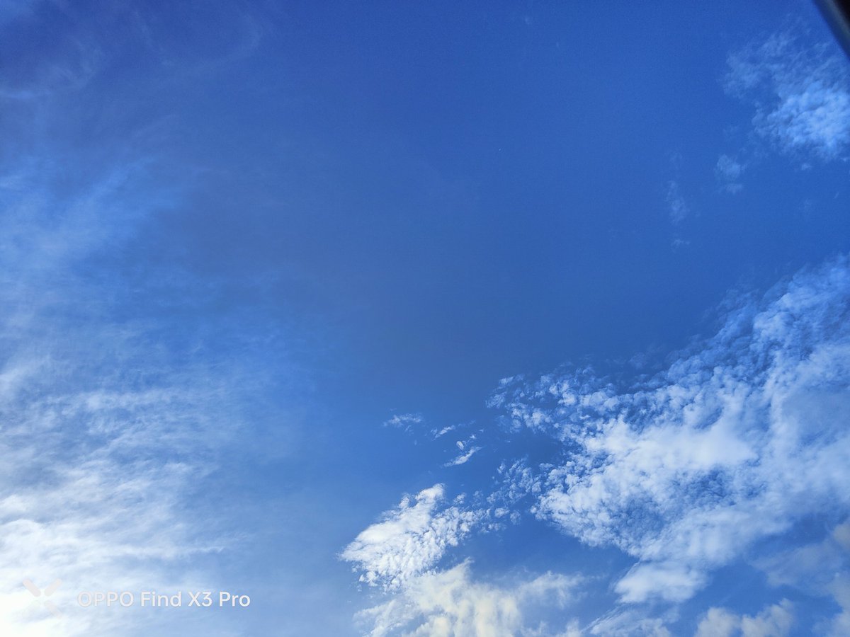 nemu_nemu__318's tweet image. 
