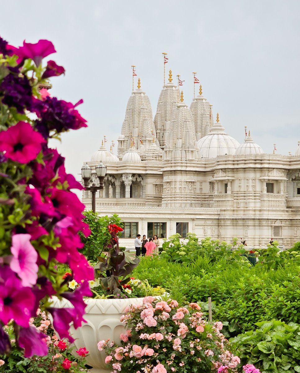 bapstoronto tweet media