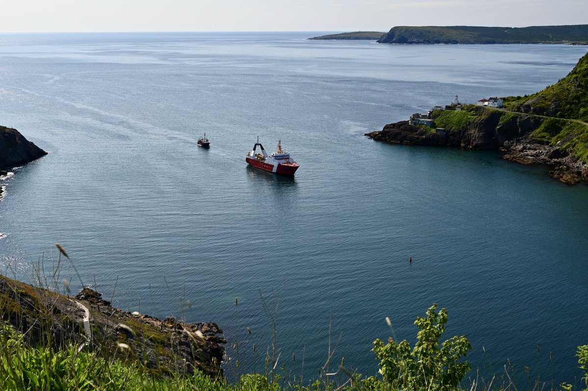 GardeCotiereCAN's tweet image. Le NGCC Teleost ne perd pas le rythme 🚢 En juin, l’équipage a donné un coup de main au Cape Chelsea en le remorquant jusqu’à St. John’s, #TerreNeuveEtLabrador… et avant même que vous ayez eu le temps de dire « pause-café », ils étaient déjà repartis en mission. 📷: Len Cowley