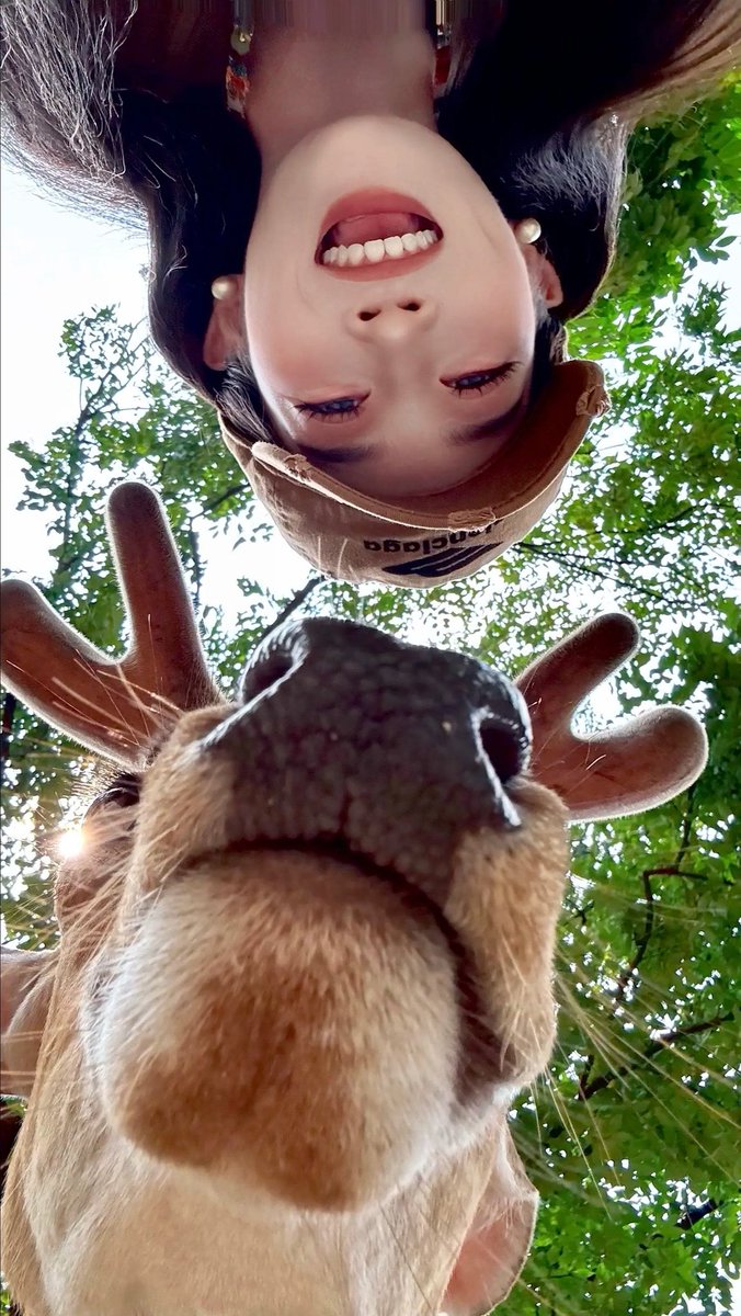 CHNN00001's tweet image. Hi～ 🫎🤳