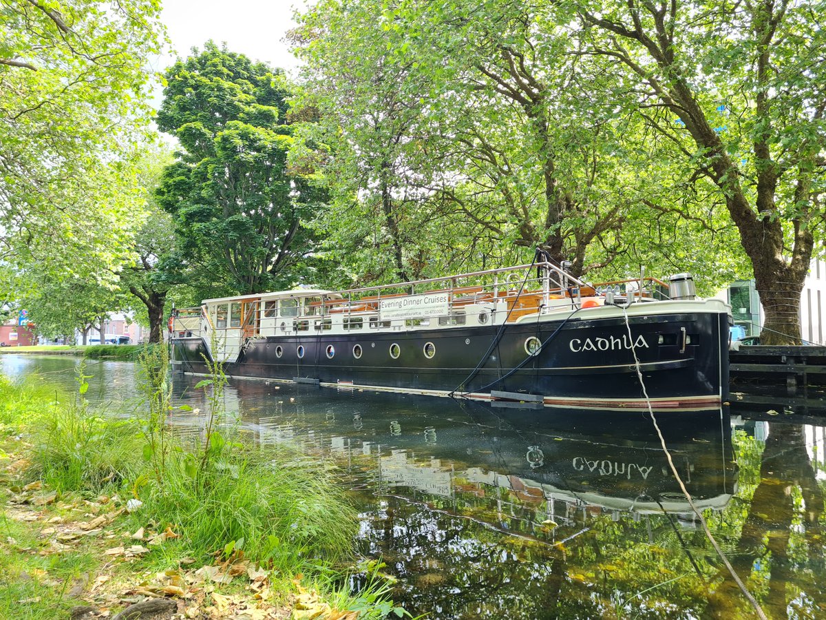 DescubreIrlanda's tweet image. 🌿 ¡Únete a una experiencia gastronómica inolvidable y sostenible!
Descubre la magia del Gran Canal de Dublín a bordo del Cadhla, una barcaza eléctrica que ofrece un delicioso menú de 3 platos con sabores locales... ¡todo en un entorno sostenible!
👉go.irlnd.co/se2hr1jh