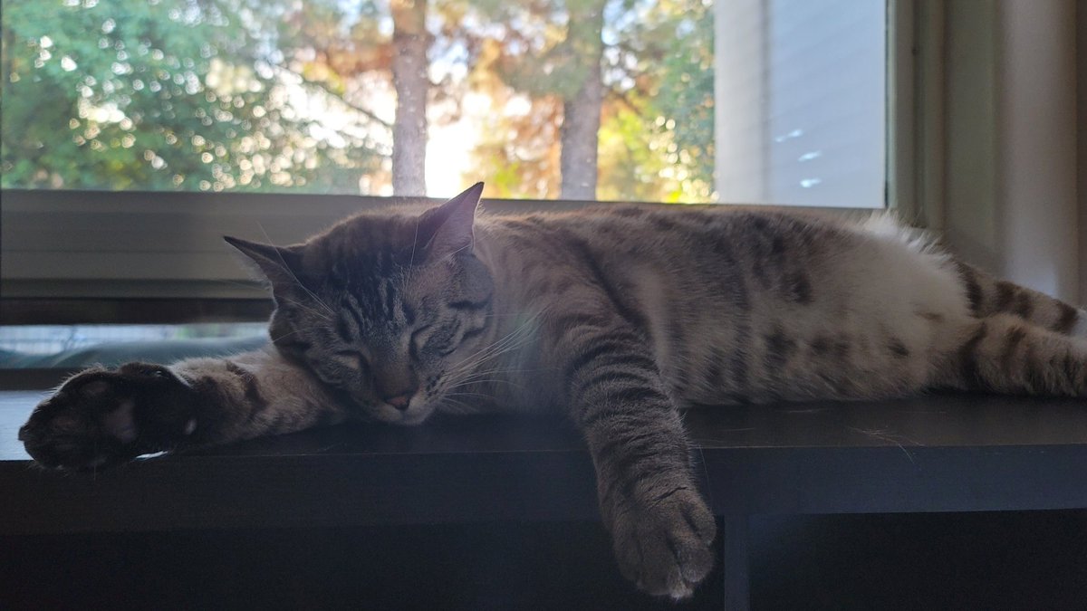 Easy like Sunday morning. 🌞 
#Benny #blessed 
✌️❤️🙏