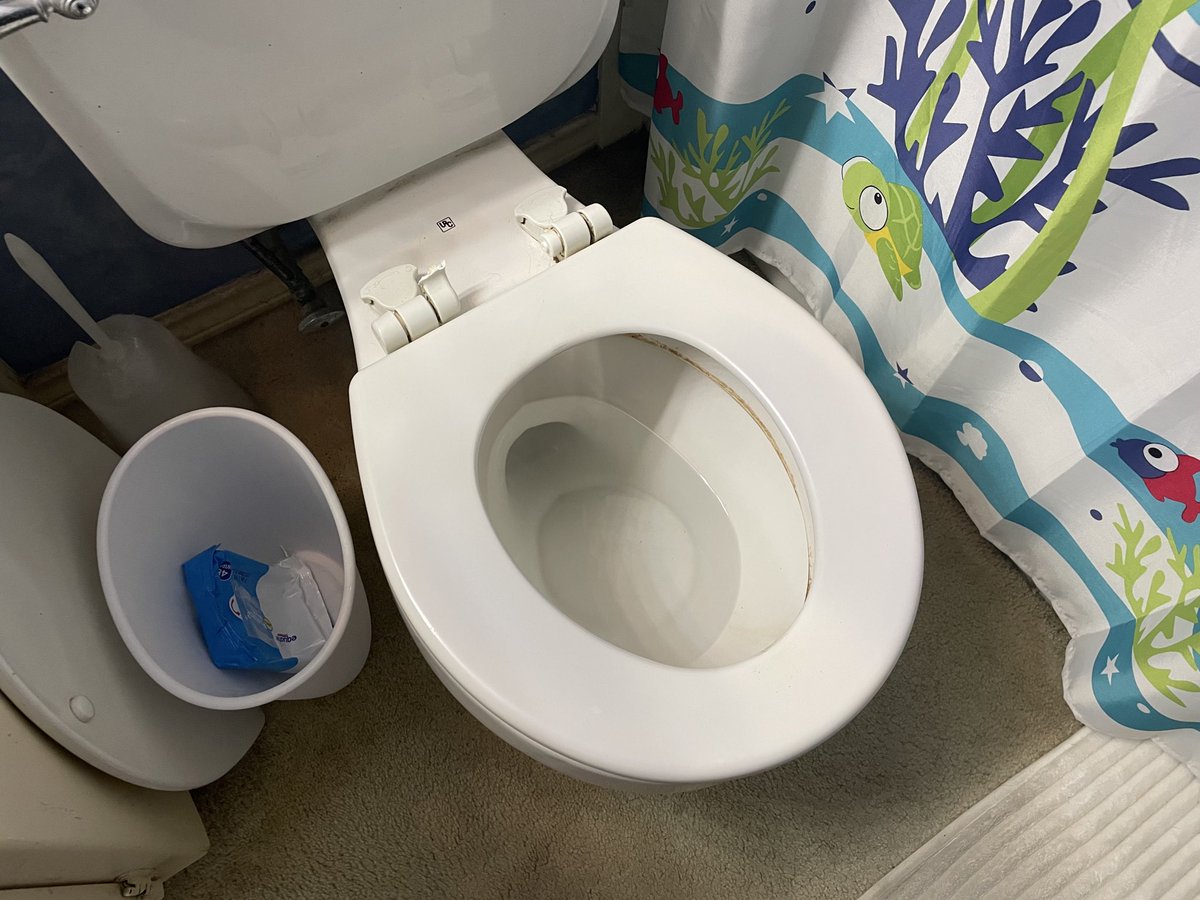 FredsDaily's tweet image. 8:30a Doing one of my “honey dos” and replacing the new toilet seat I bought for the kids bathroom. (Before/After)