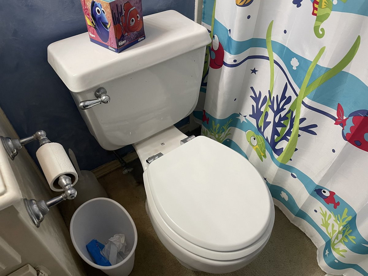 FredsDaily's tweet image. 8:30a Doing one of my “honey dos” and replacing the new toilet seat I bought for the kids bathroom. (Before/After)