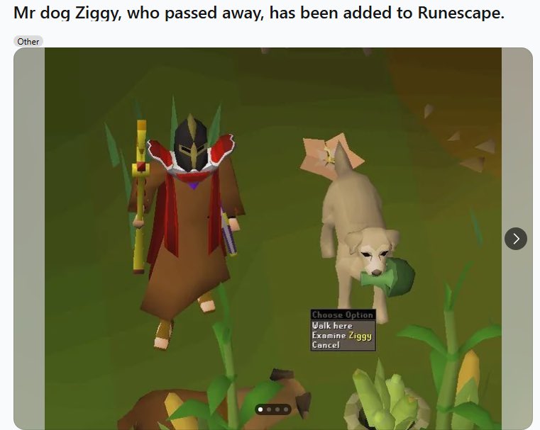 ShillWithSJ's tweet image. $ZIGGY just became the first real dog immortalised in RuneScape.
Not a quest boss.
Not a Christmas event stray.
A literal man’s best friend, placed in game forever near a watering hole in Kastori.
This isn’t just bullish.
This is on-chain cultural memory energy but in the most…