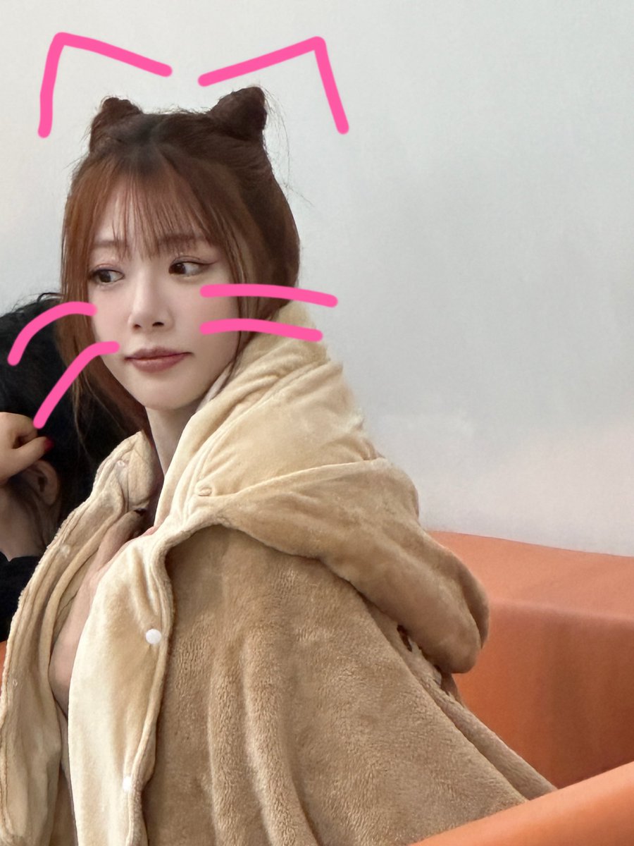 tokkisomnia's tweet image. wow the cat grew whiskers since last time🙀