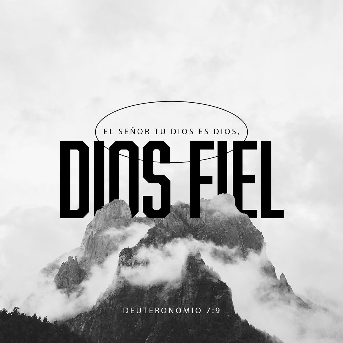 drrocefi's tweet image. 