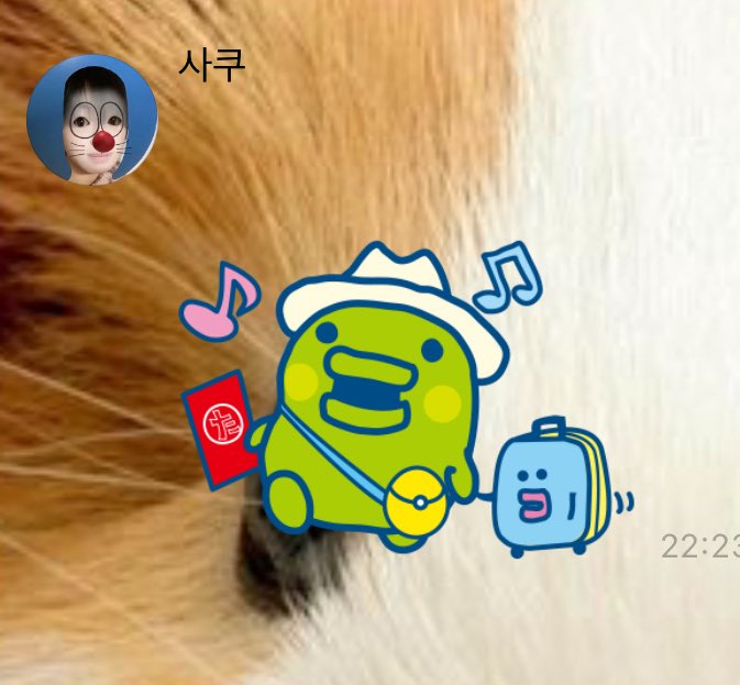 doublekuu's tweet image. 지같은거 보내는거 너무 귀엽다 후..........