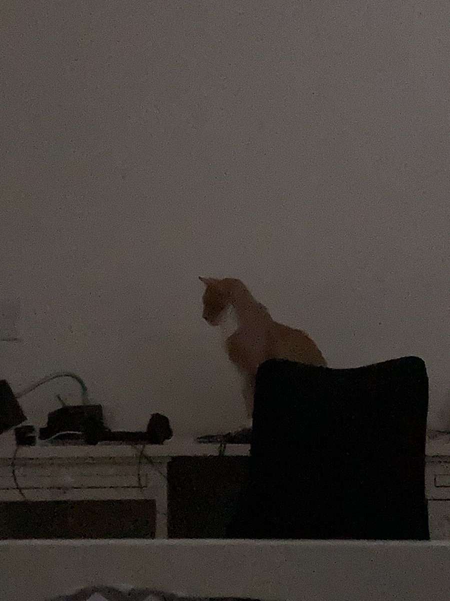 normalestphone's tweet image. 0 aura. Fuck off