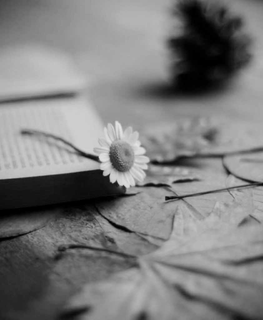 #فضفضه_مشاعر 

#بوح_الخاطر

قد تُولد المشاعر بِـ كلمة ،، 

و قد يموت الإحساس بِـ موقف ..
#الباحة_اجمل_ابرد_اروع