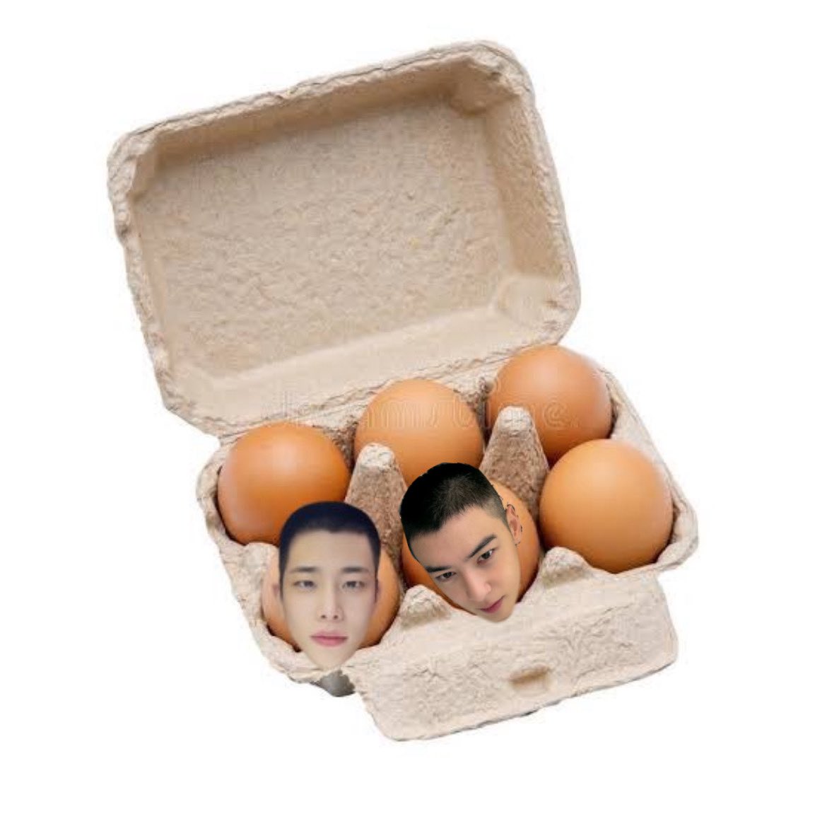 2/6 eggs 🥚