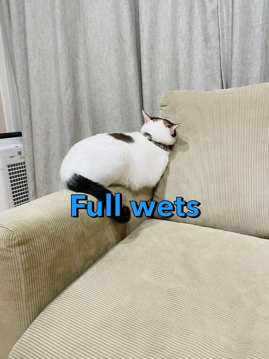 samusamu51's tweet image. Full wets...
#F1jp